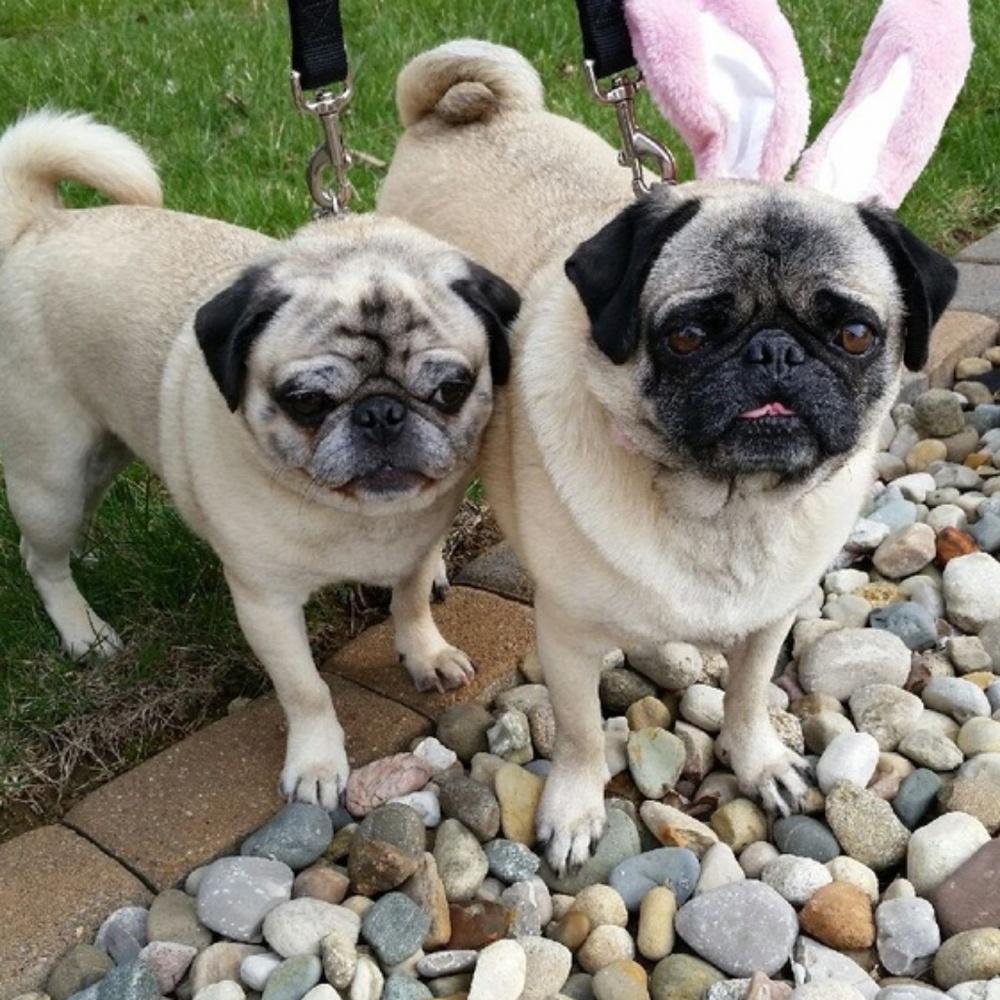 🐾🐰🐾SPRING HAS SPRUNG! HOP DOWN FOR DEALS!